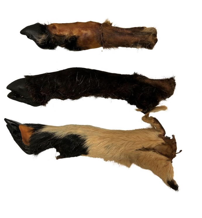 Lamb Leg (with fur) - Single Item