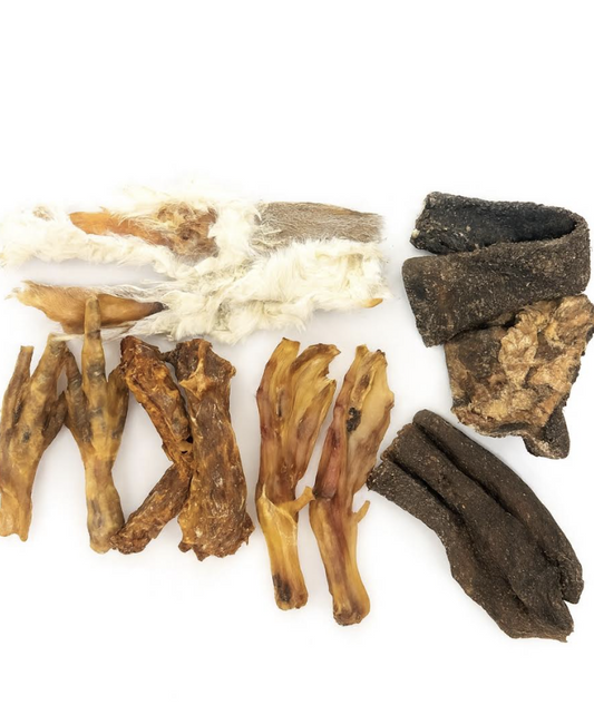 Little Licks - 10 Piece Bundle